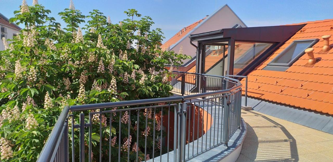 Piacsek Apartmanház Pécs Kültér fotó
